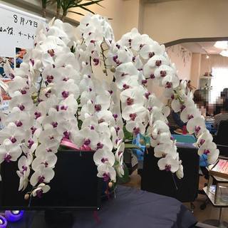 【女性募集】9月15日金曜日11時から16時　銀座で麻雀 - 中央区