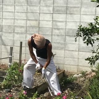 木の根っこ抜きます☆ - 岐阜市