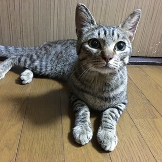 兄弟です！