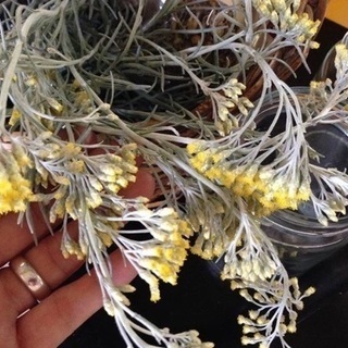 精油を使いこなしましょう♪の画像