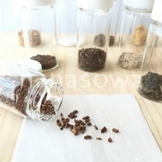 受付2/10迄 ★2/17（日）天然の沈香を知ってますか？お香作り体験・本八幡の画像