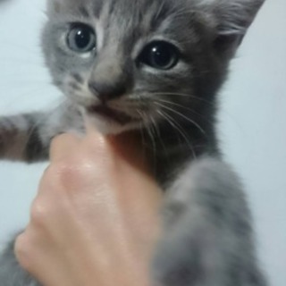 代理投稿です(((^-^)))