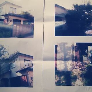 木の伐採をお願いします。