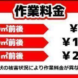 ゴキブリ駆除専門業者「日本害虫駆除サービス」 - 川崎市