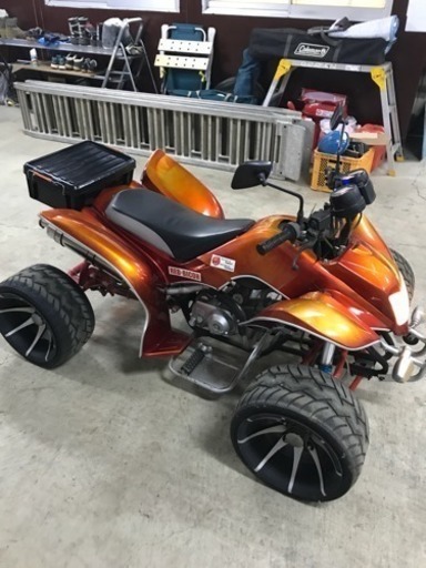 ATV四輪バギー(ミニカー登録50cc) (ワイズガーデン) 結城のその他の