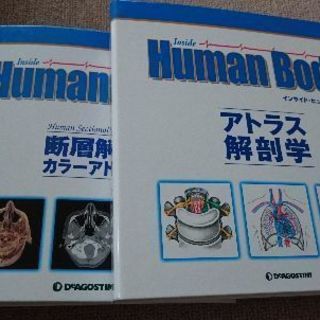 最終値下げ　ディアゴスティーニ インサイドヒューマンボディー《改訂版》全刊 の画像