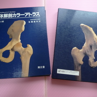 人体解剖カラーアトラス　古本 直接取りに来てください。の画像