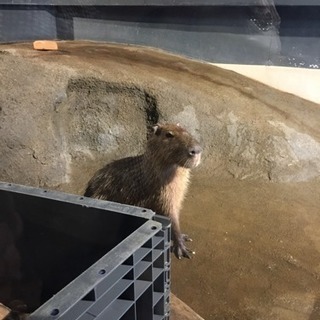 よろしくね