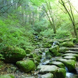 御岳山 山登り♪ − 東京都