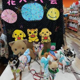 犬友達募集。関西。 - メンバー募集