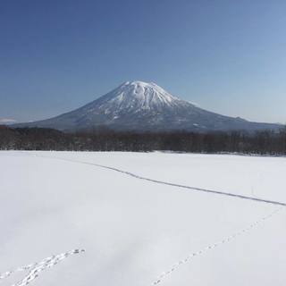 時給1200円！ニセコでバイト！住み込み対応あり！の画像