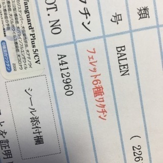 パスバレー、カナディアンフェレットの画像