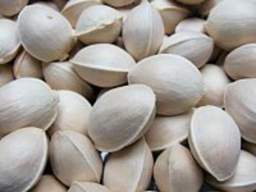 天然　銀杏　1KG