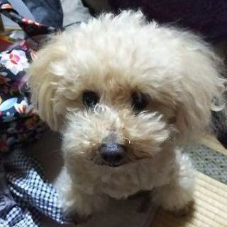 平日にUSJに一緒に遊びに行ける人