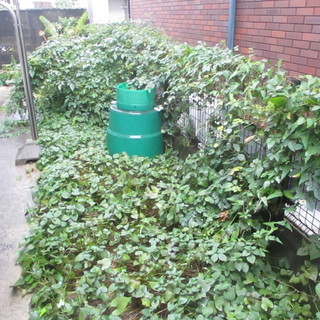 植え込みの防草工事福岡