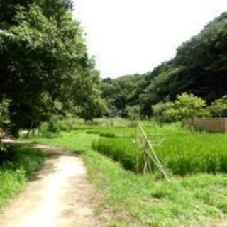 10月28日（土）鎌倉広町緑地～江ノ島で江ノ島丼
