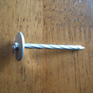 光沢スクリュー傘釘の画像