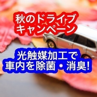 車に光触媒❗️秋のキャンペーン❗️