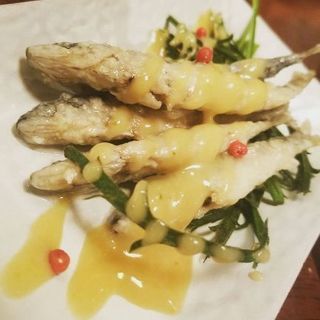一緒に釣り行きませんか？