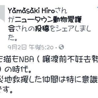 【 正式譲渡決定】仮名・政宗☆幸せ報告