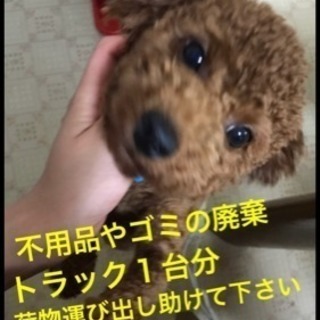 明日引越し退去やのに