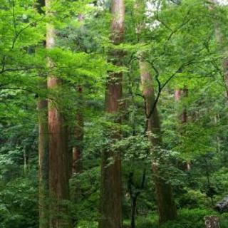 １０月８日（日）宝徳寺（群馬県）御朱印巡り − 群馬県