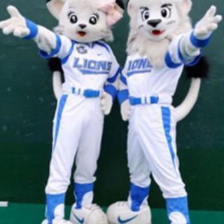 軟式野球対戦相手探してます！ - メンバー募集