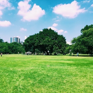 【爽やかな秋空の下で、ヨガしよう】秋空パークヨガ〜マインドフルネ...