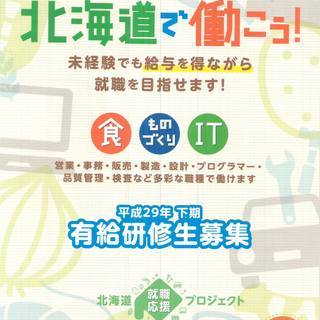 給与をもらいながら就活！！平成29年度下期　有給研修生募集