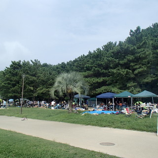 10月8日(10/8)  博多湾を見渡せる自然豊かな小戸公園で「...
