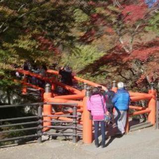 温泉に行ける仲間募集！ - 水戸市