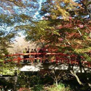 温泉に行ける仲間募集！ − 茨城県