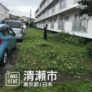 草刈り 芝刈り致します。【所沢市 川越市 入間市 狭山市 三芳町】