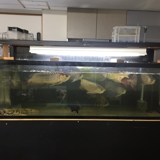 1800×600×600水槽セット