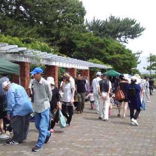 出店者募集！浜松夏祭りin浜松まつり会館・中田島風紋広場2019［8/25（日）］ - 浜松市