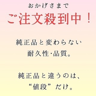 【純正品同等】スレンダートーン交換パッド（５セット）の画像