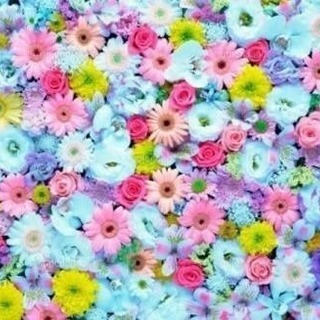 出張コーラスレッスン承りますの画像