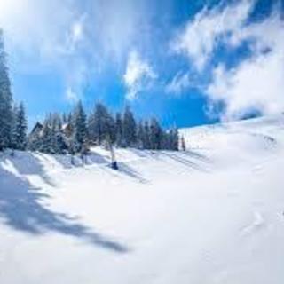 🎿大学生～大歓迎‼　冬のゲレンデで青春を謳歌しませんか？短期～未経験OK🎿の画像