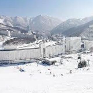 🎿寮あり　冬のゲレンデで青春謳歌‼　スキー場スタッフ大募集🎿