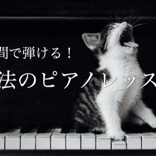 魔法の音楽レッスン！秋の入会キャンペーン