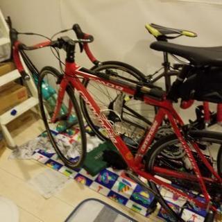 サイクリング仲間募集！