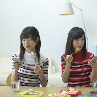 主婦（夫）の方、必見！　未経験大歓迎！　ＷＥＢ広報・データ入力、...