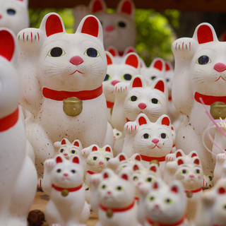 初心者歓迎】お散歩フォトサークル〜豪徳寺招き猫撮影ツアー