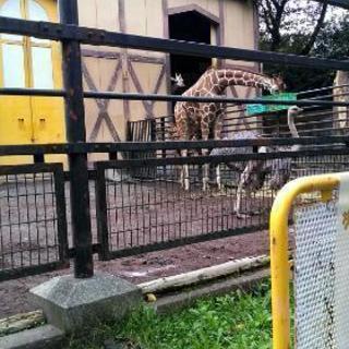 明日10時くらいから多摩動物公園 - 友達