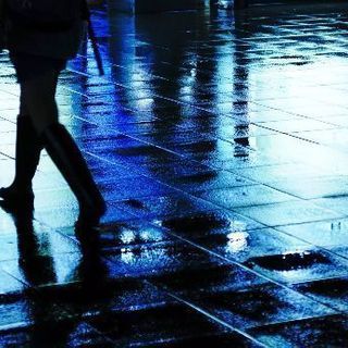 カメラ好きな人仲良くしましょ！ - 京都市