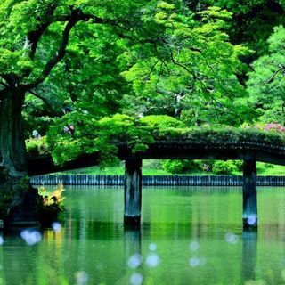 カメラ好きな人仲良くしましょ！ - メンバー募集