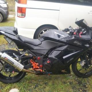 ninja250r