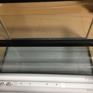 60cm水槽の画像