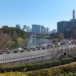 国会議事堂＆永田町おさんぽツアー【土日祝】 - その他