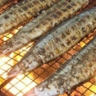 秋刀魚パーティー
